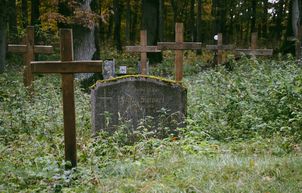 Zabytkowy cmentarz ewangelicki w Pleceminie