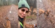 Uśmiechnięta Agnieszka Woźniak-Starak spaceruje z psami po lesie i zachęca: "Chodźcie na spacery i miejcie psy" (FOTO)