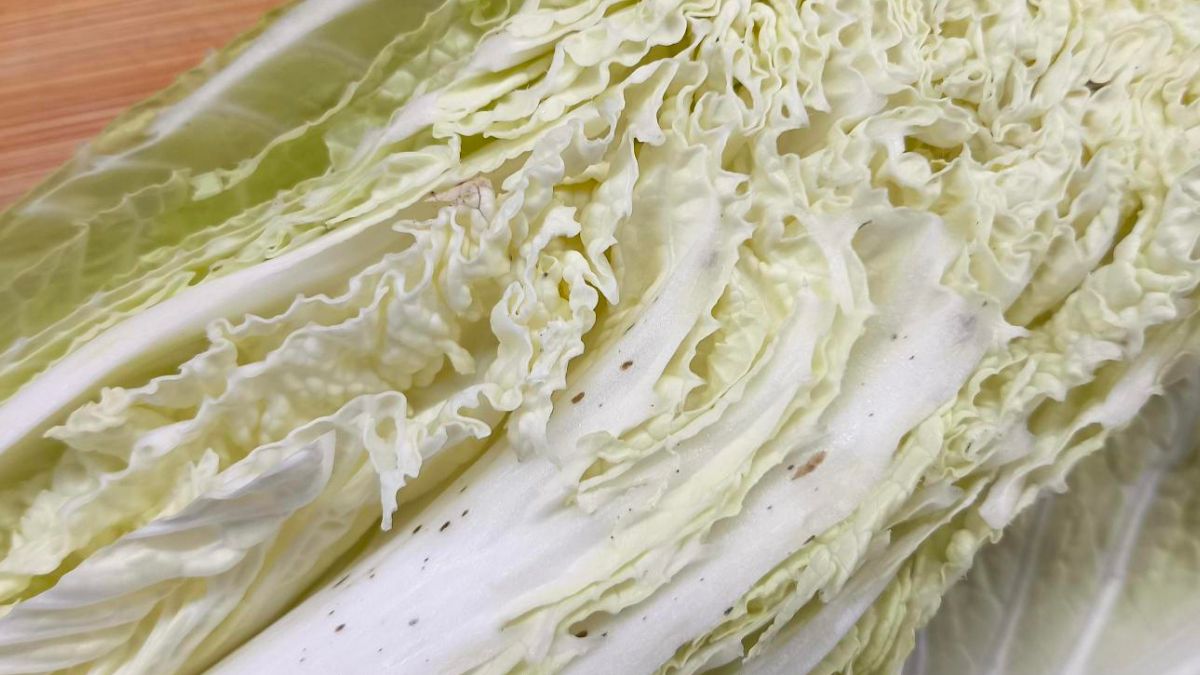 Czarne kropki na kapuście