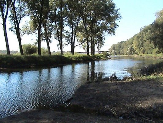 Obraz