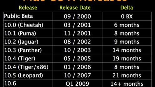 Snow Leopard zadebiutuje na początku 2009 roku 1