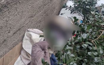 Martwa kobieta na Krakowskim Przedmieściu. Tragedia w Warszawie