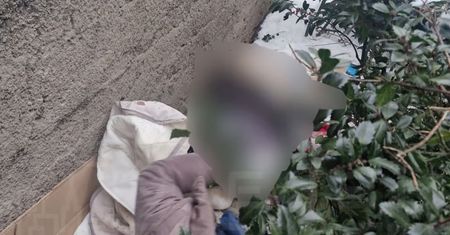Martwa kobieta na Krakowskim Przedmieściu. Tragedia w Warszawie