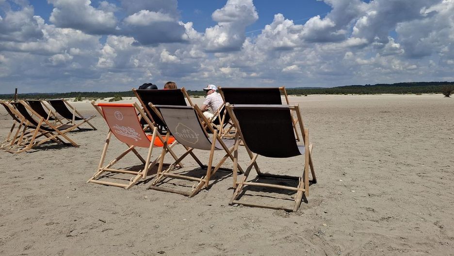 Trasa wokół Pustyni Błędowskiej