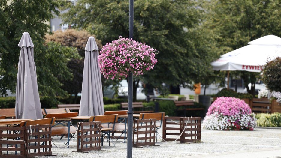 Rynek w Krzepicach