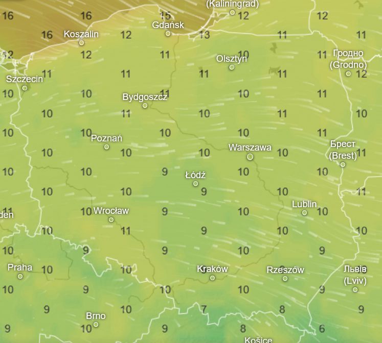 Pogoda w niedzielę rano