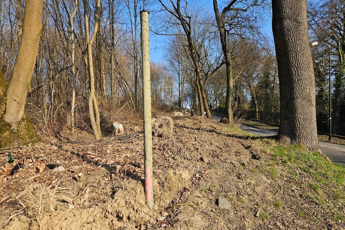 Wycinka drzew przy ul. Sławinkowskiej w Lublinie