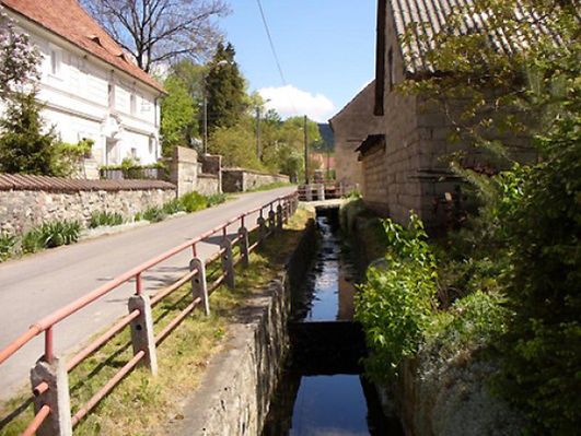 Obraz