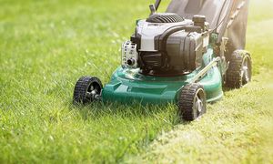Jak wysoko kosić trawę? Reguła 1/3 uratuje trawnik przed suszą