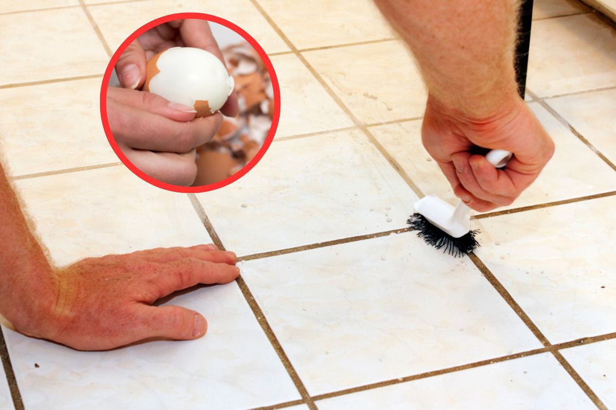Skorupki jajek można wykorzystać do zlikwidowania pleśni
