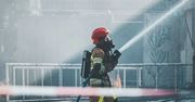 Zielona Góra: Pożar i akcja ratunkowa. Takiego testu jeszcze nie było