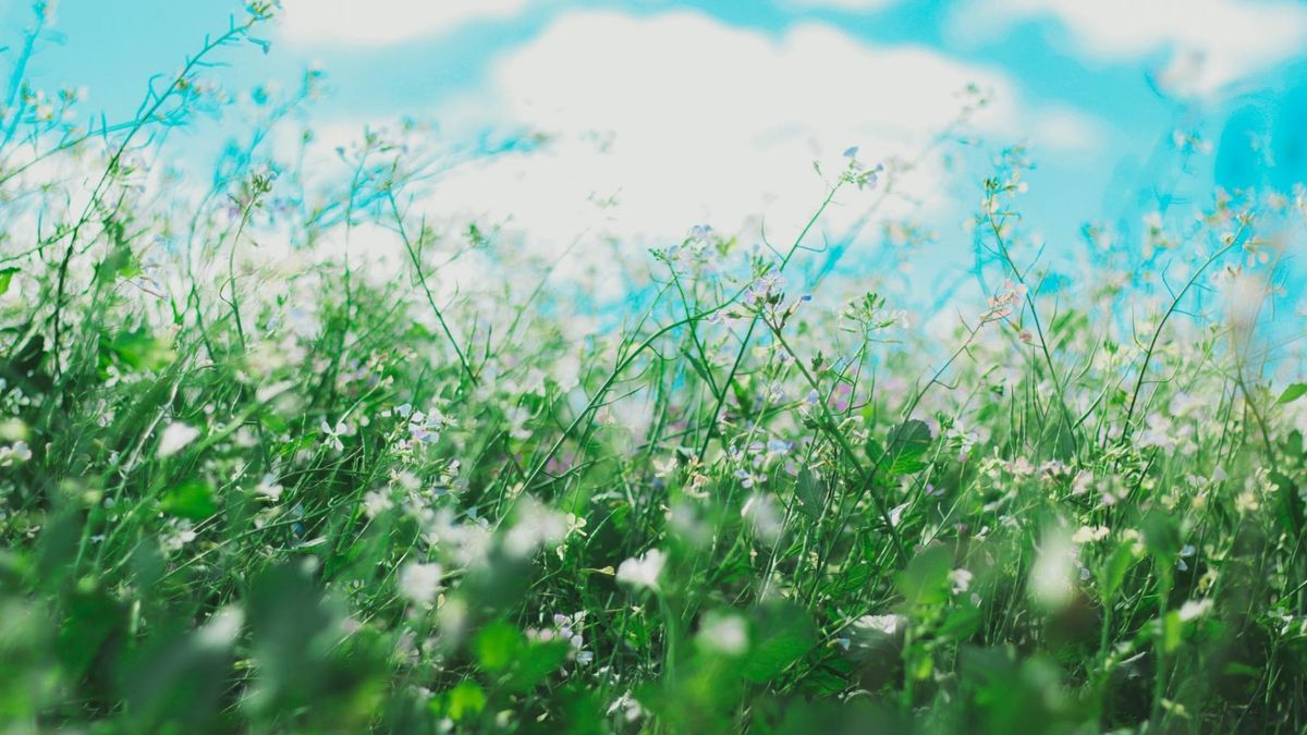 Wiosną może nasilać się kaszel alergiczny