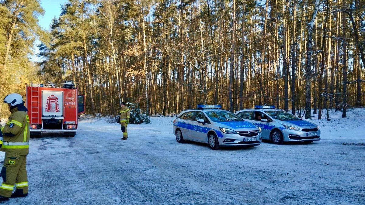 Zaginęła Emilia. Nowe fakty w sprawie