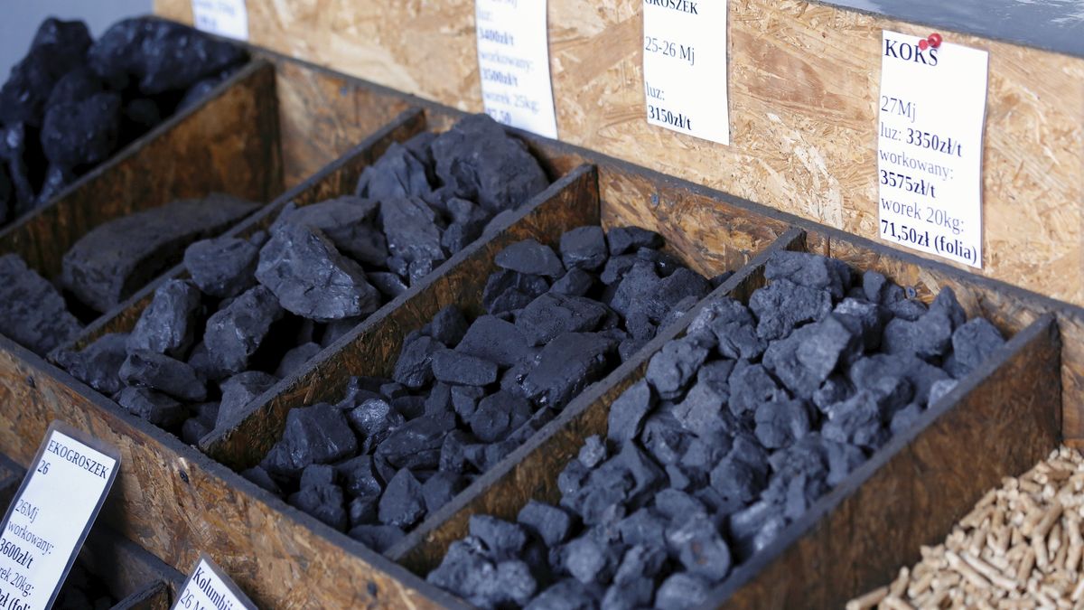 Właściciele składów węgla nie zarabiają wiele 