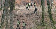 Będą przeczesywać lasy w poszukiwaniu dzików. Na drogę może wbiec spłoszona zwierzyna