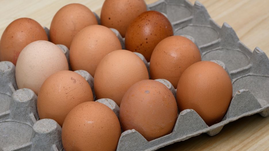 Eksperci ostrzegają przed wzrostem cen jaj na jesieni