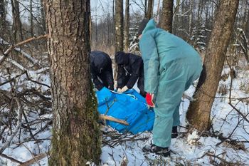 Leżał pod drzewem. "Kolejny przypadek". Musieli założyć kombinezony
