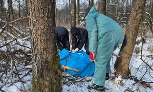 Leżał pod drzewem. "Kolejny przypadek". Musieli założyć kombinezony