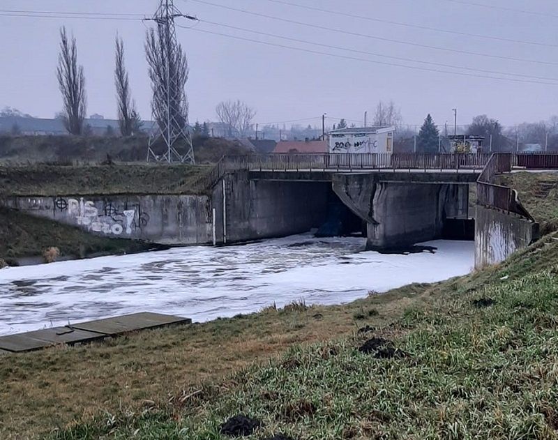 Piana w rzece Bystrzyca