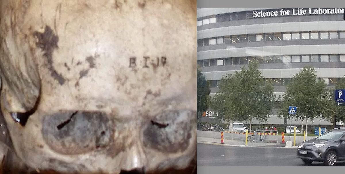 Finowie chcą zwrotu czaszek, ukradzionych z ich cmentarzy przez szwedzkich naukowców w XIX wieku i nadal przechowywanych w Karolinska Instyt