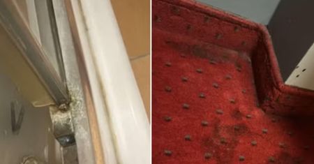 Koszmarne wakacje w łódzkim hotelu.  "Jak z horroru"