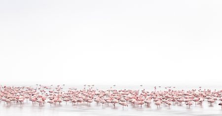 Najlepsze zdjęcia z kategorii otwartej konkursu Sony World Photography Awards 2017
