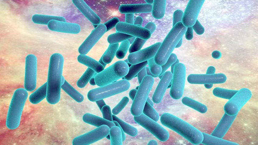 Bakterioskopia, czyli badanie bakterii za pomocą mikroskopu, to jedno z podstawowych badań stosowanych w diagnostyce mikrobiologicznej.