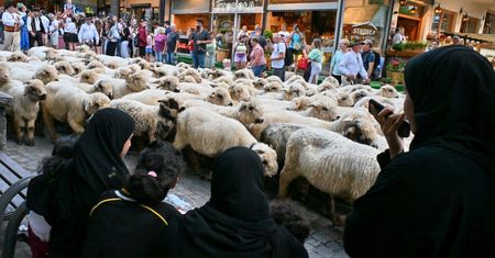 Arabowie narzekają już pierwszego dnia. Oto co im przeszkadza w górach