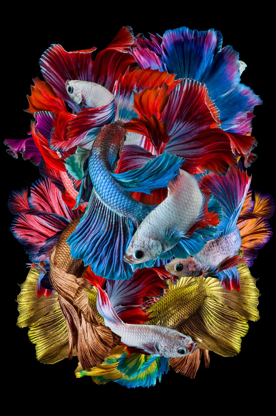 Piotr Leczkowski zwycięzcą polskiej edycji National Awards w Sony World Photography Awards 2019 23