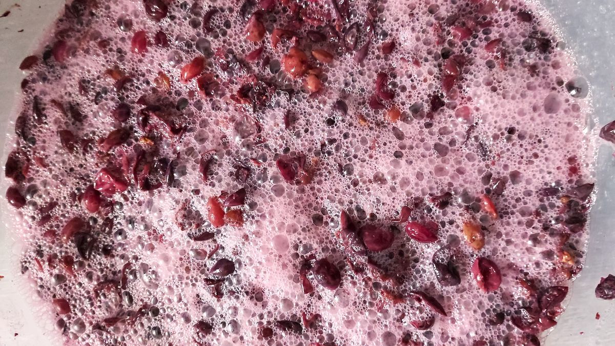 Ocet winogronowy możesz przygotować samodzielnie