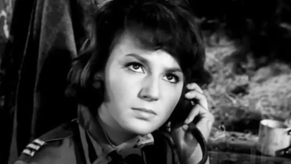 Małgorzata Niemirska jest najbardziej znana z roli Lidki Wiśniewskiej.