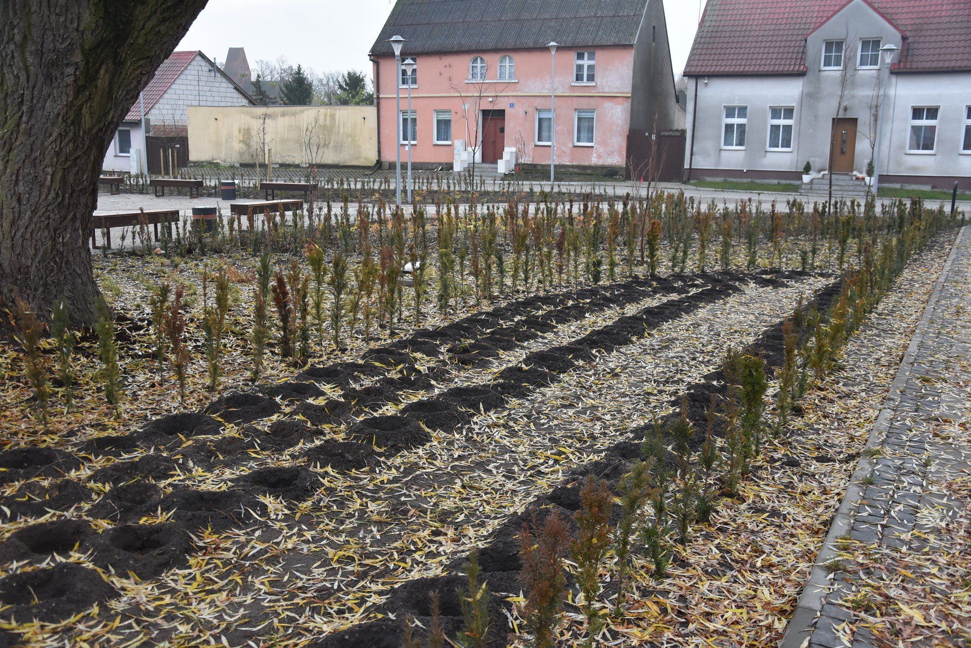 Rynek w Łeknie i jego okolice po zakończeniu przebudowy
