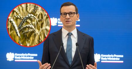Zboże z Ukrainy zalewa UE. Takiej reakcji jeszcze nie było