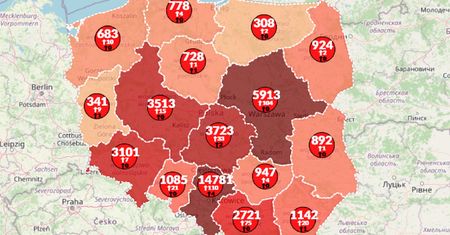 Koronawirus w Polsce. Najwyższy wzrost zakażeń od miesiąca. Już ponad 1 650 ofiar [Mapa]