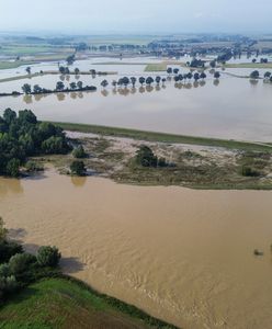 "Włos się jeży na głowie". Komendant mówi o ludziach w porsche