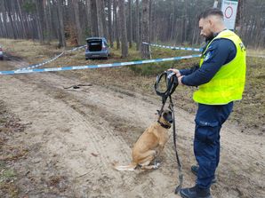 policja, wałcz