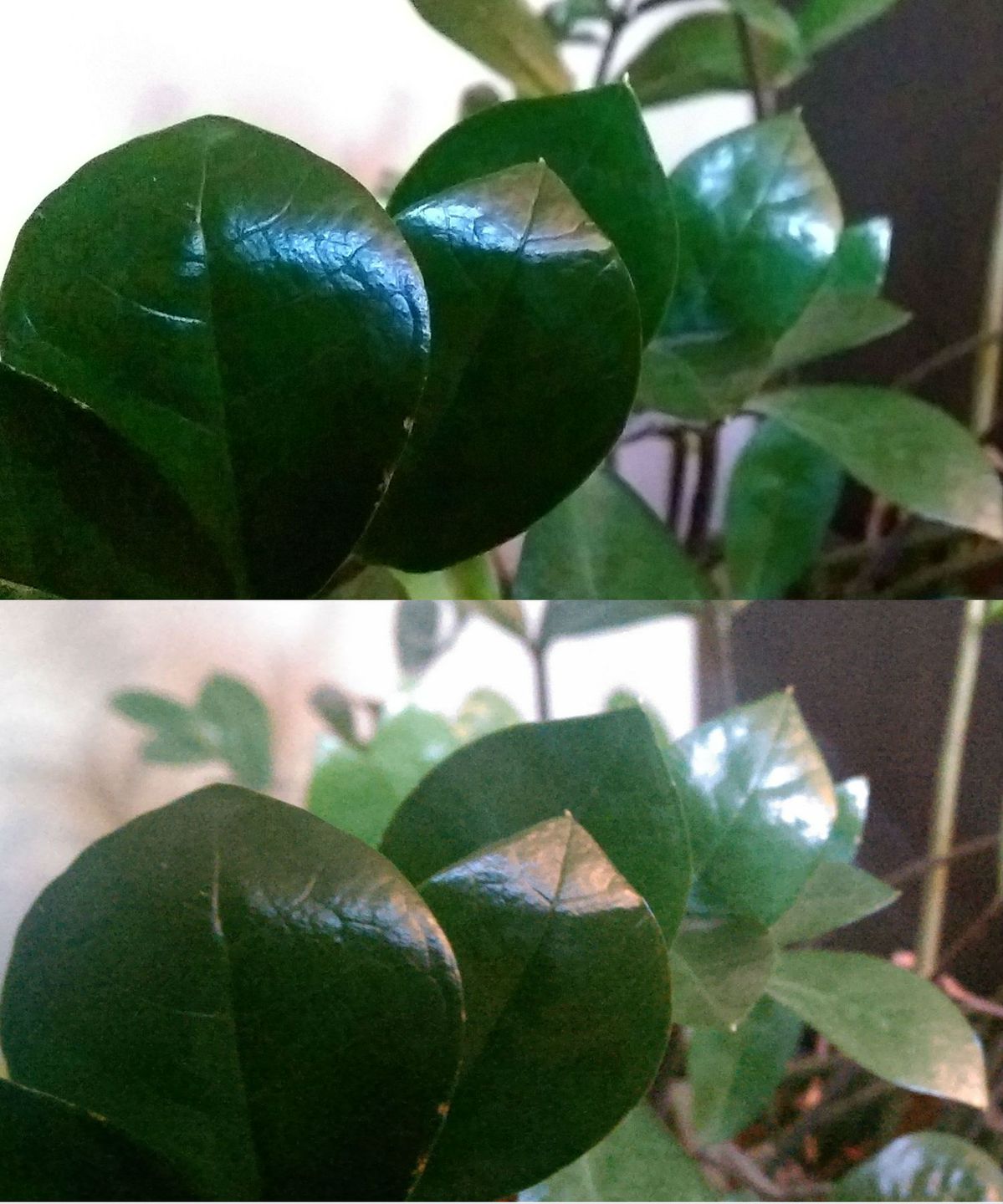 HTC One vs HTC One m8 47