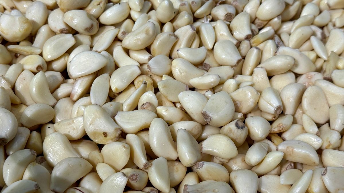 Czosnek może wspierać zdrowie na wiele sposobów, ale nie dla każdego będzie bezpieczny.