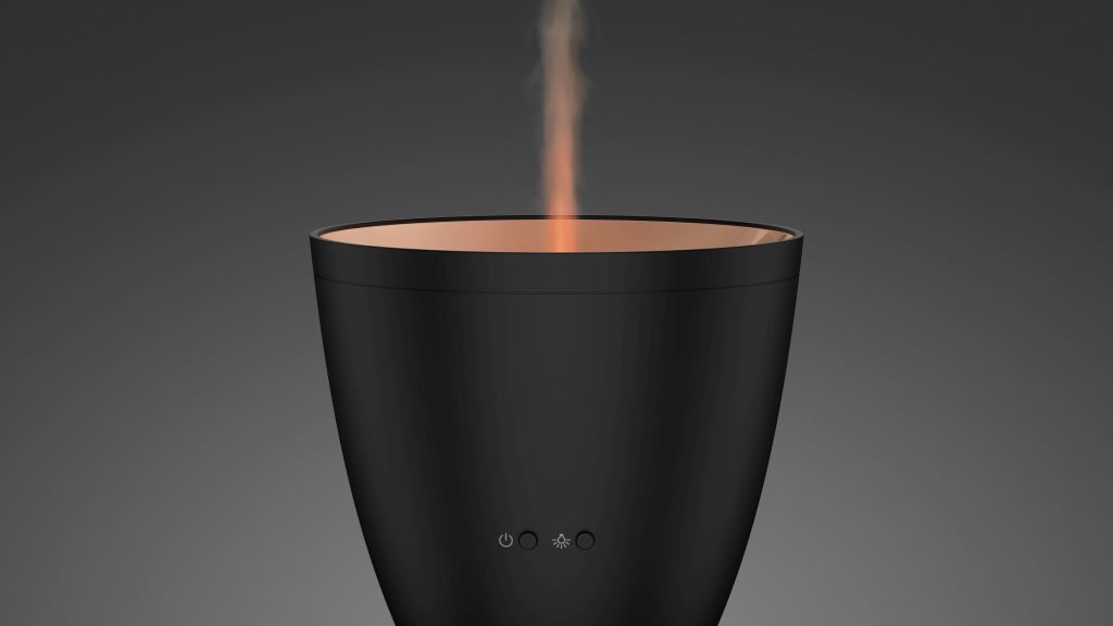 Zoe - dyfuzor zapachowy, który zaskoczy. Te urządzenia zyskują popularność 1