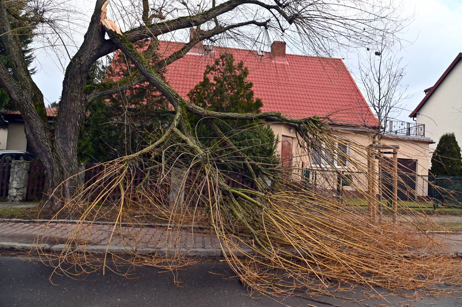 Skutki wichur w Polsce