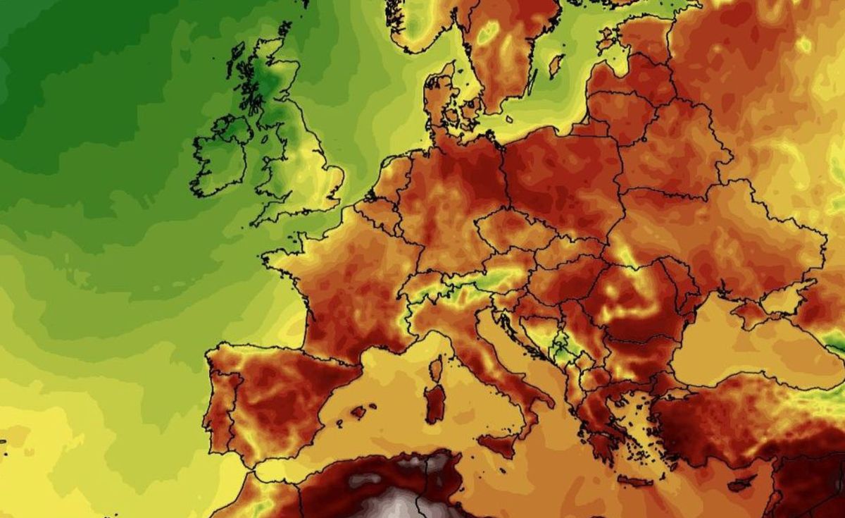 Prognozowana temperatura w czwartek