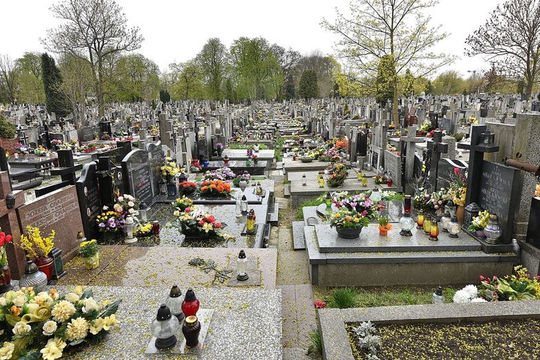 Skandal na cmentarzu w Grudziądzu. Policjanci zatrzymali 32-latka