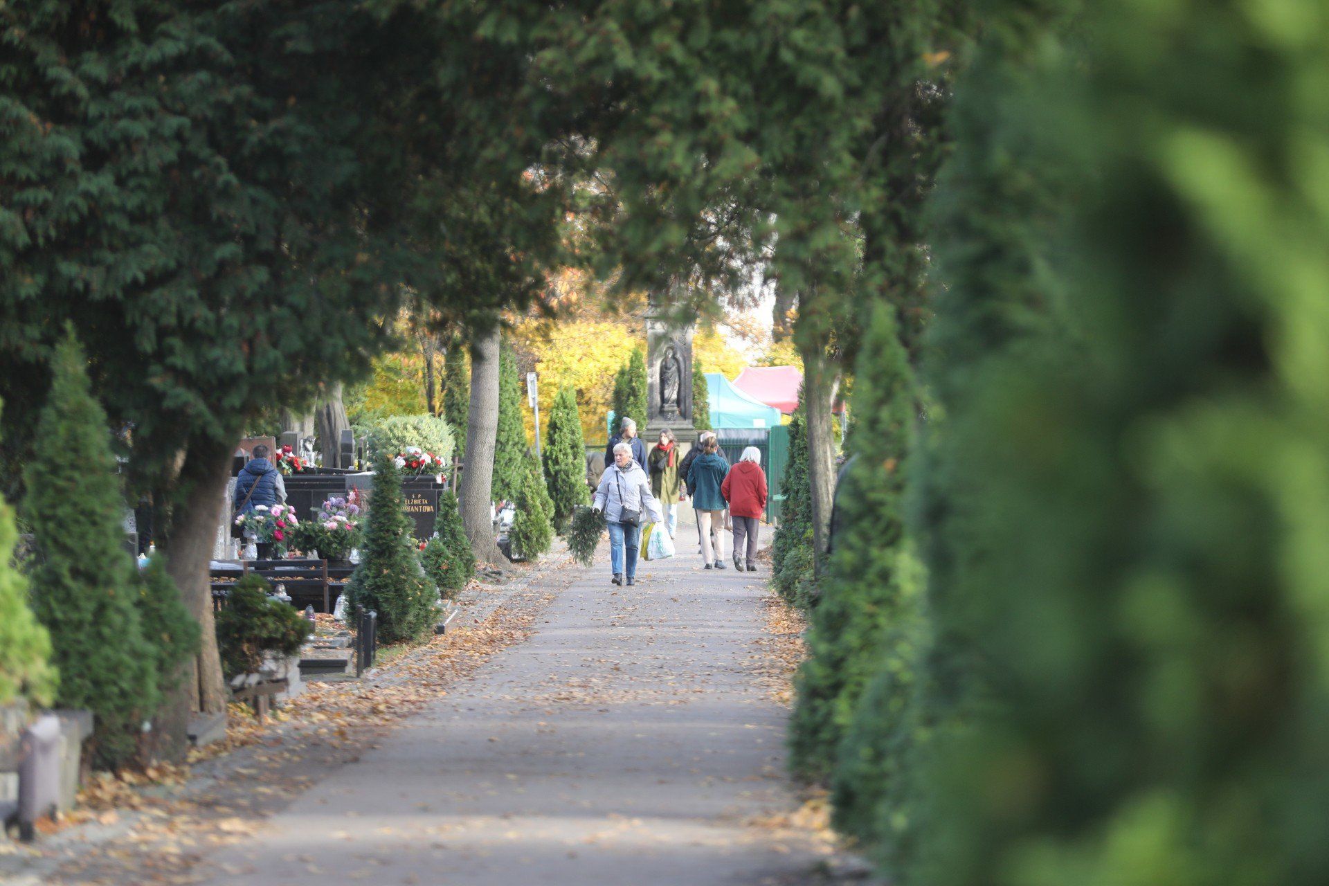 31.10.2025 KATOWICE CMENTARZ FRANCUSKA FOT. MARZENA BUGALA-ASTASZOW/ /DZIENNIK ZACHODNI/ POLSKA PRESS