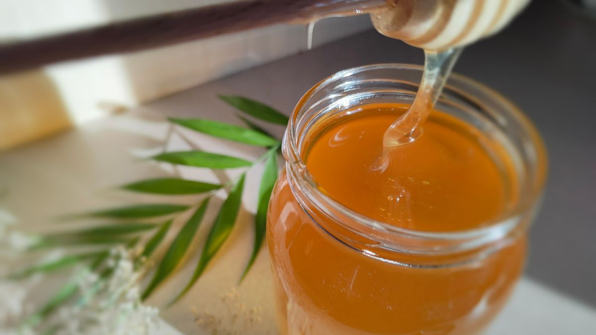 Miód lipowy