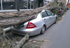 Jedno słowo w polisie i możesz sporo stracić. Jak nie dać się oszukać agentowi ubezpieczeniowemu?