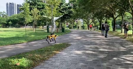 Robot chodzi sobie po parku i pilnuje dystansów między ludźmi. Witajcie w Singapurze