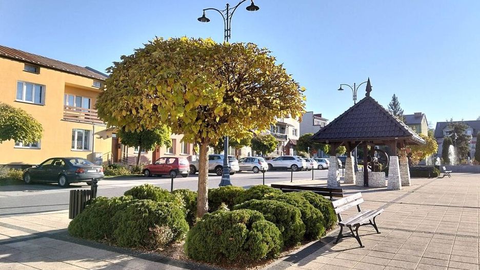 Połaniec