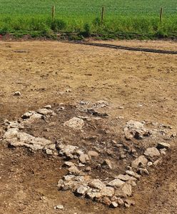 Ścięte głowy na budowie trasy szybkiej kolei. Makabryczne odkrycie sprzed wieków w Anglii