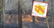 RCB i IMGW ostrzegają. Wysokie zagrożenie pożarowe
