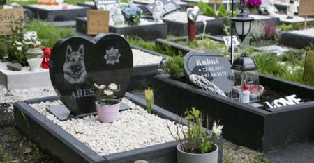 Burza wokół cmentarza dla zwierząt w Gliwicach. "Sodoma i Gomora"